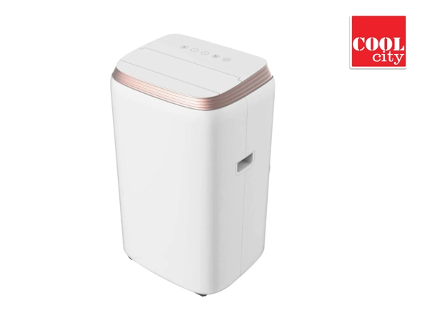 LLOYD 1TR PORTABLE AC GLP12B01TP